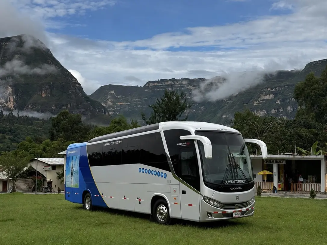 Buses Turísticos